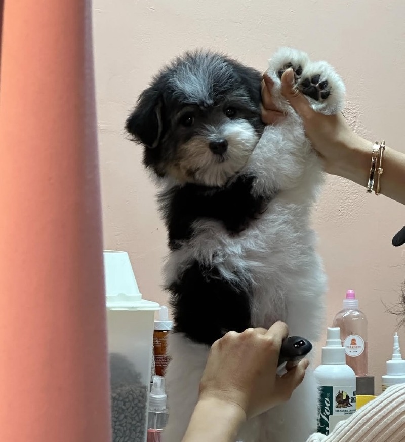 KakaoTalk_20260922_170316129_02.jpg