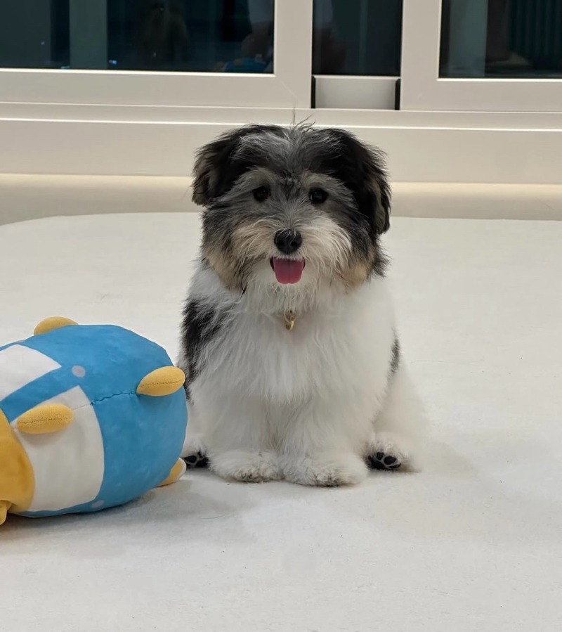 KakaoTalk_20260922_170316129_01.jpg