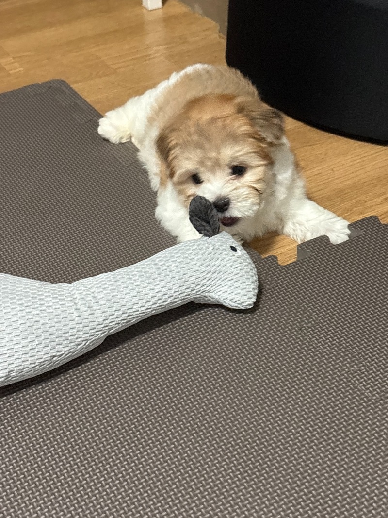 KakaoTalk_20260922_172923151_01.jpg