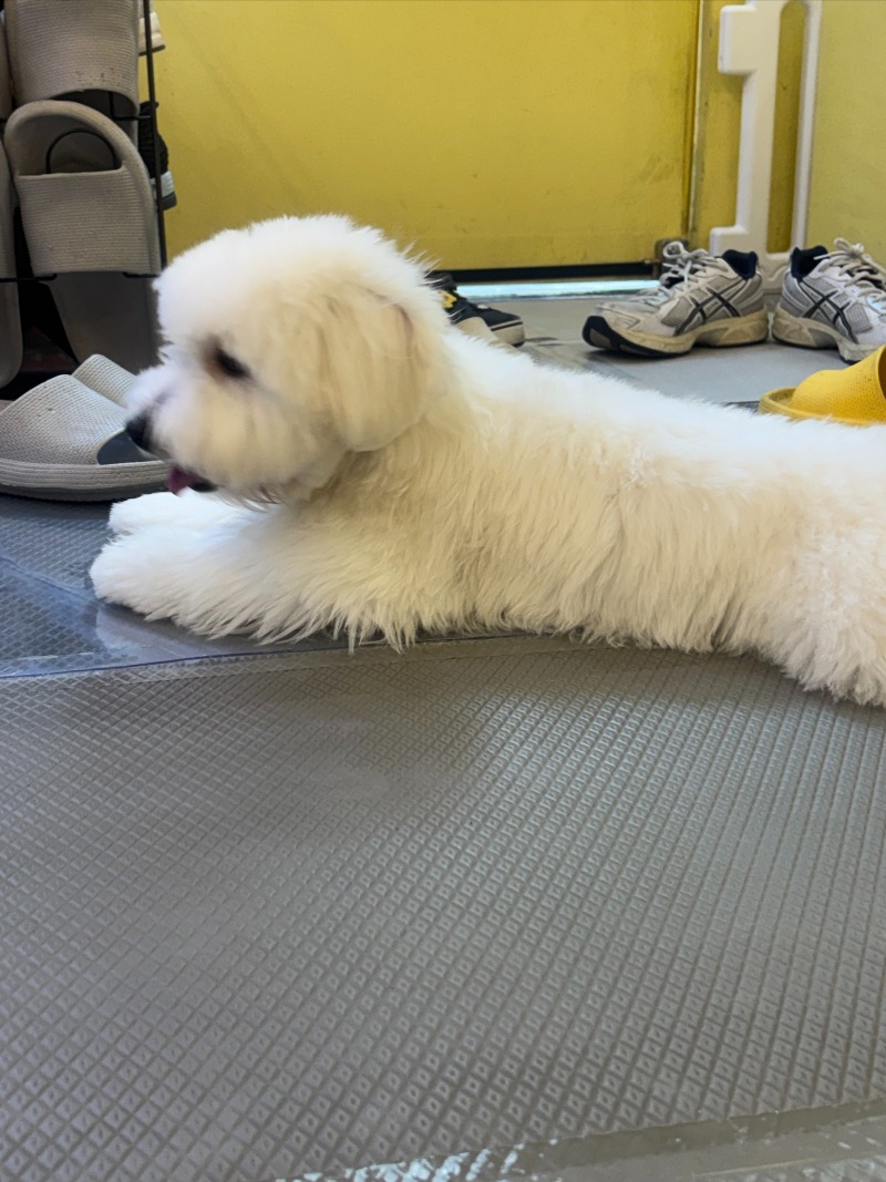 KakaoTalk_20260922_191354449.jpg