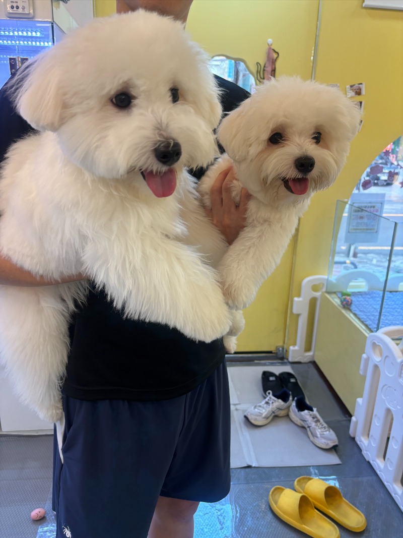 KakaoTalk_20260922_191354449_02.jpg
