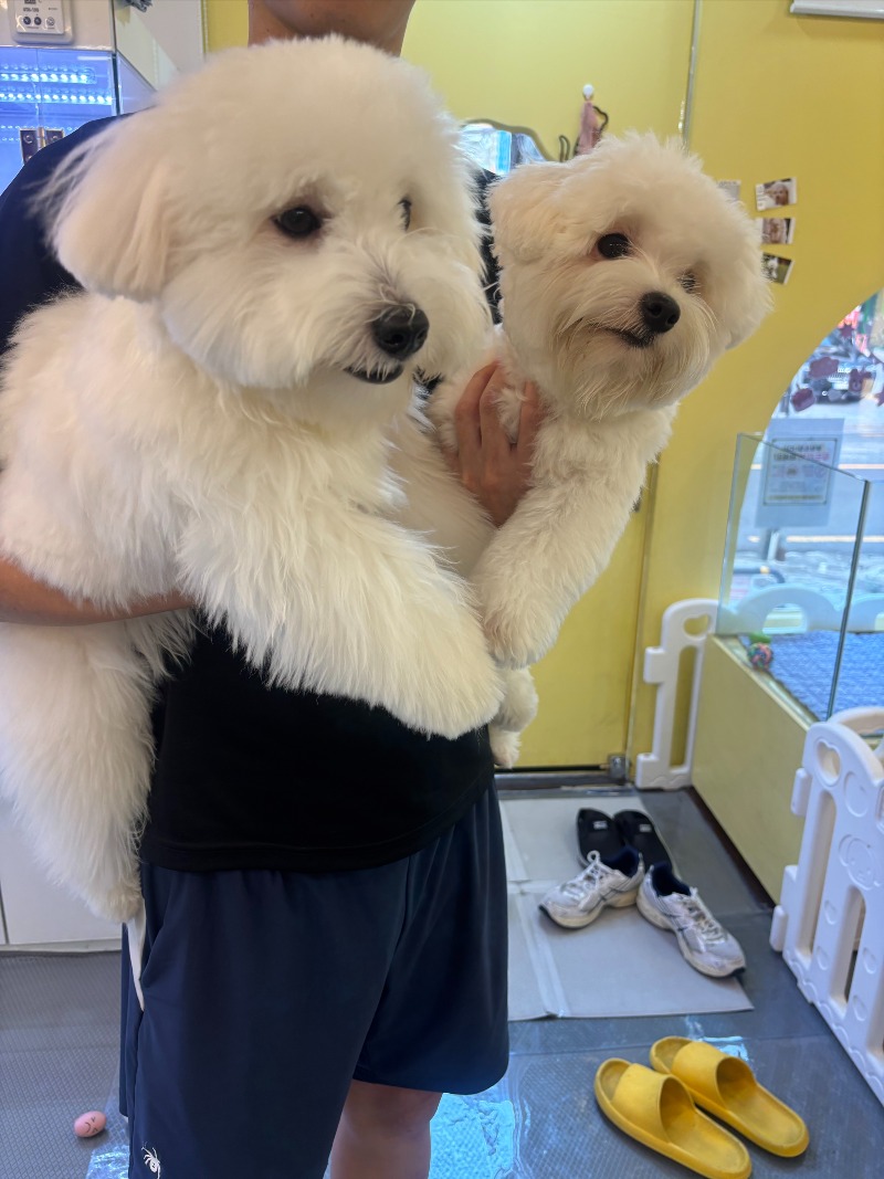 KakaoTalk_20260922_191354449_03.jpg