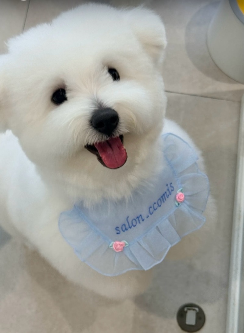 KakaoTalk_20260922_192844330.jpg