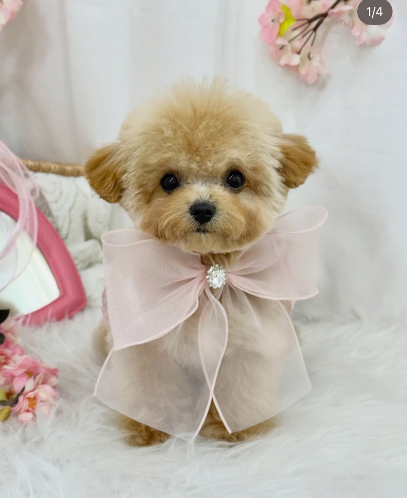 KakaoTalk_20260922_193745230_01.jpg