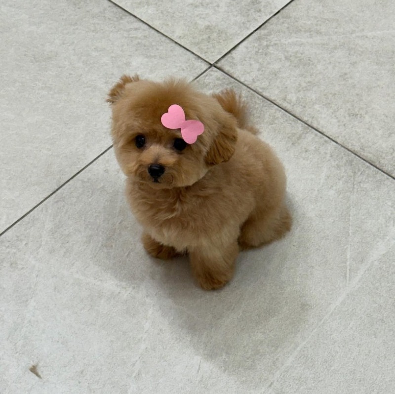 KakaoTalk_20260922_193745230_05.jpg