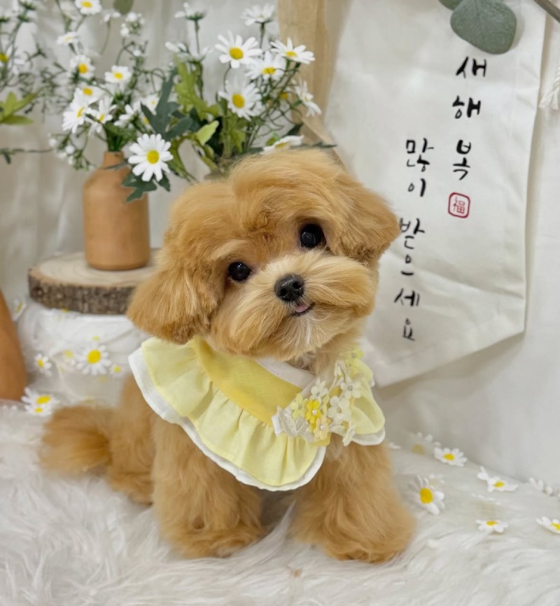 KakaoTalk_20260922_193745230_02.jpg