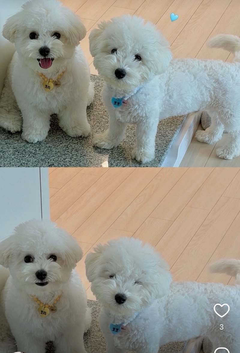 KakaoTalk_20260922_194944576.jpg