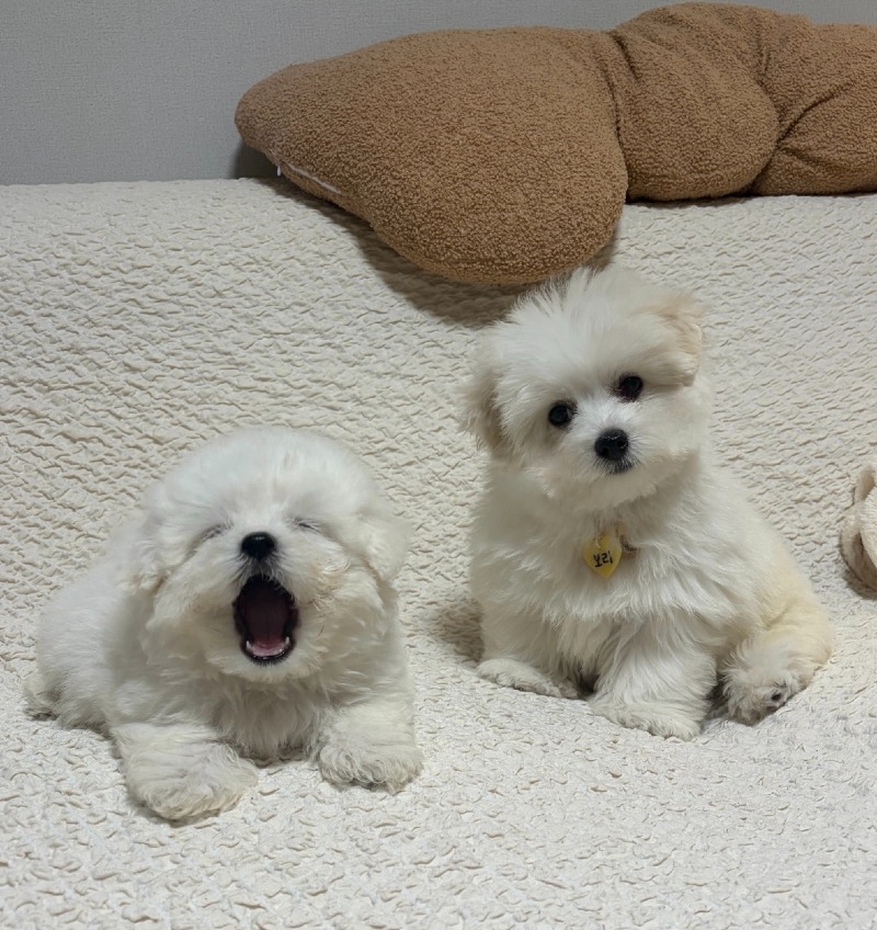 KakaoTalk_20260922_194944576_01.jpg