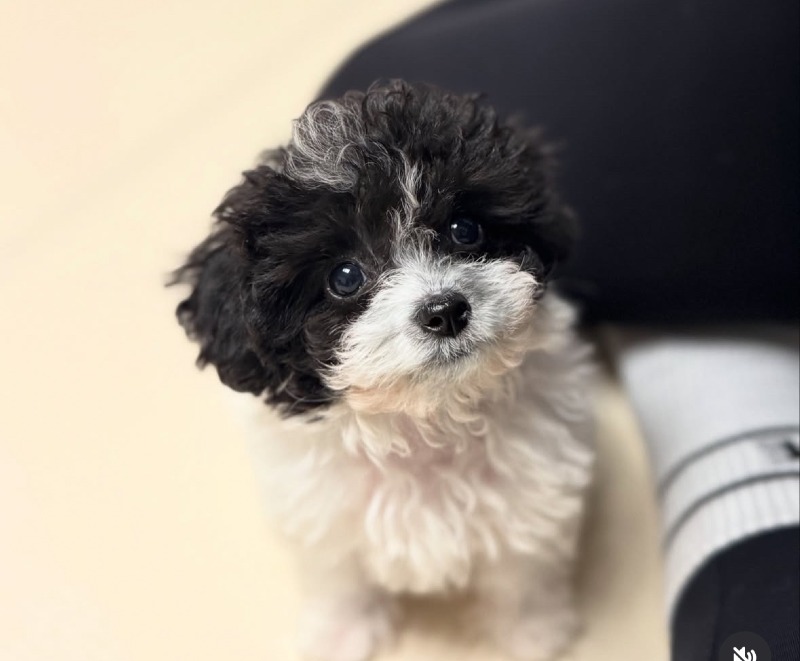 KakaoTalk_20260922_195838675_01.jpg