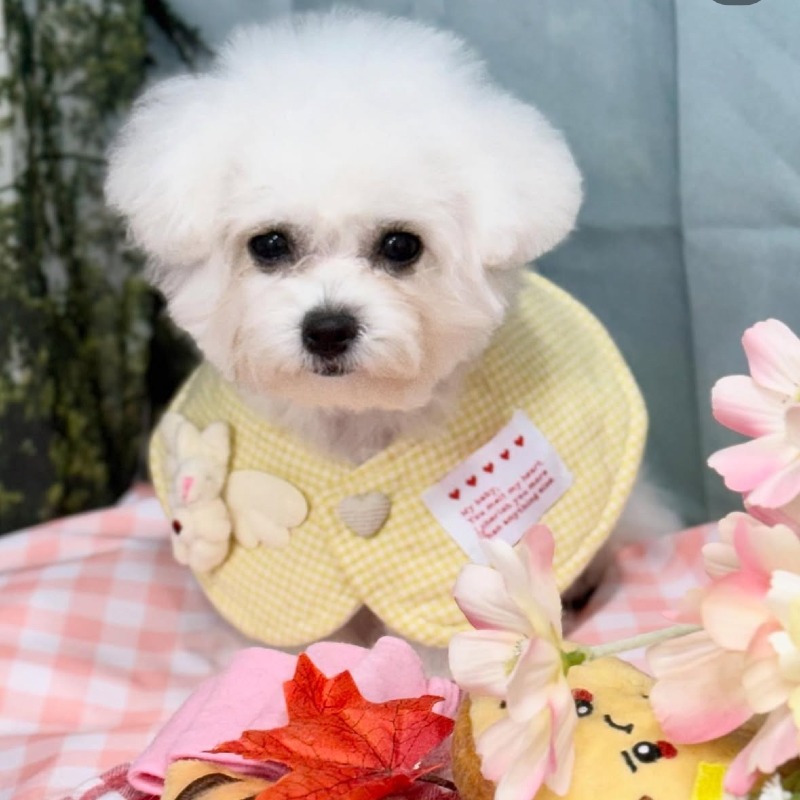 KakaoTalk_20260922_200421845_02.jpg