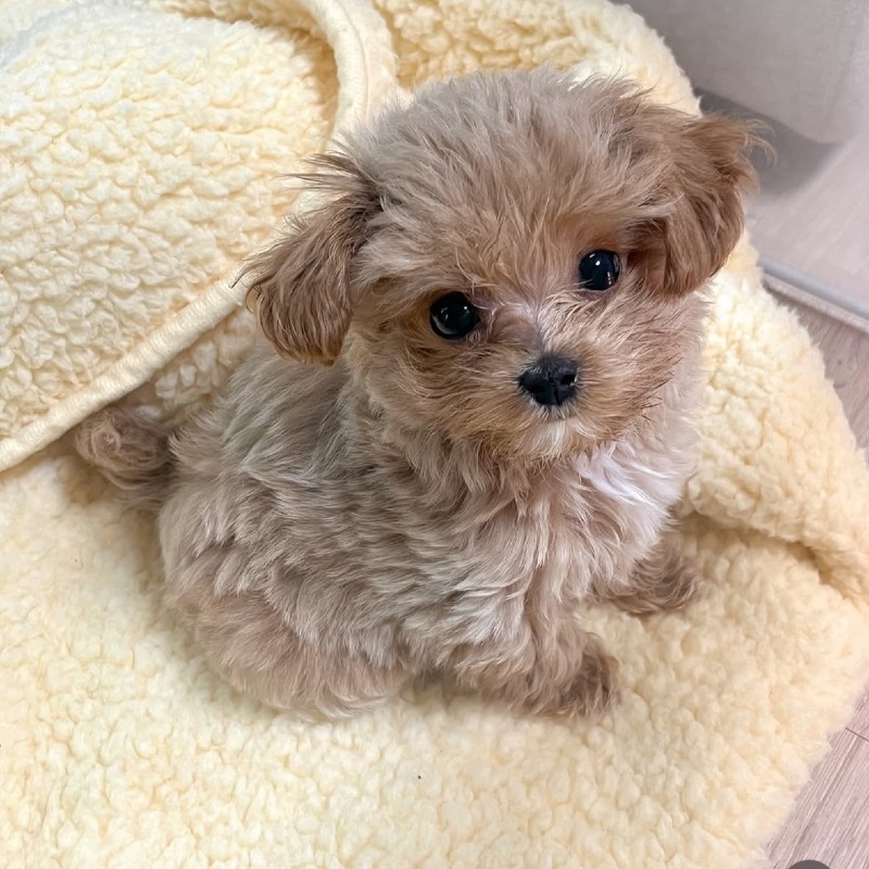 KakaoTalk_20260922_200628396 (1).jpg