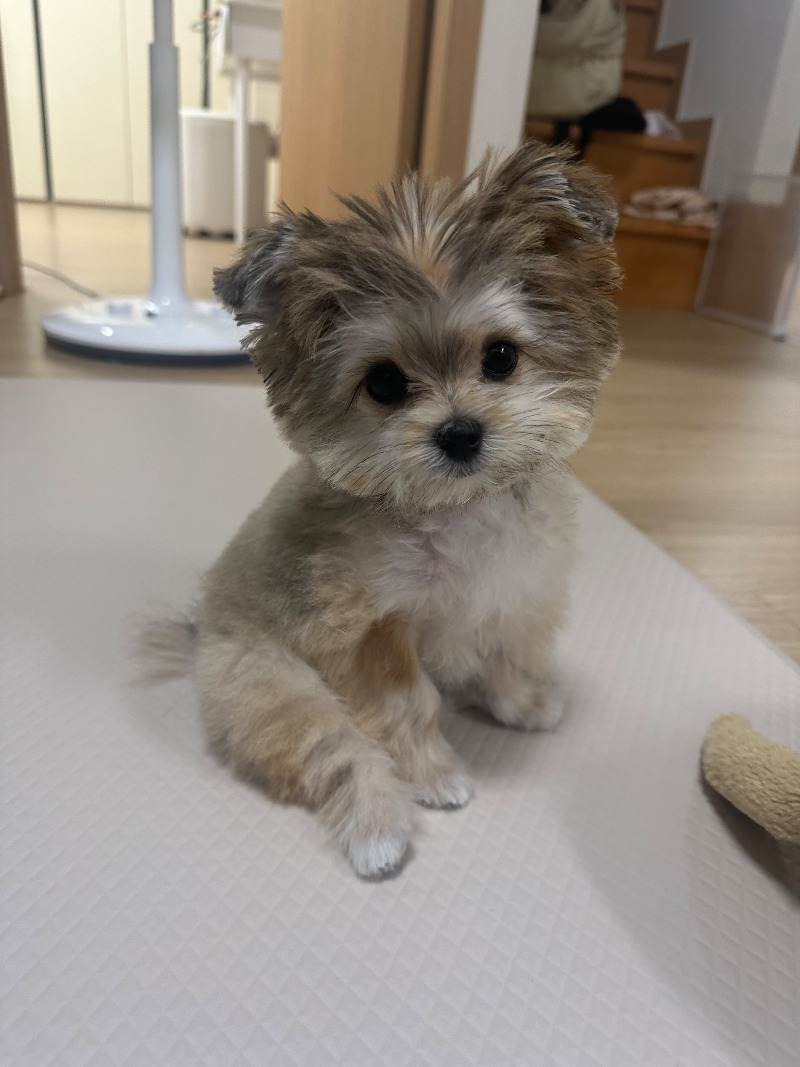 KakaoTalk_20260923_142334163.jpg