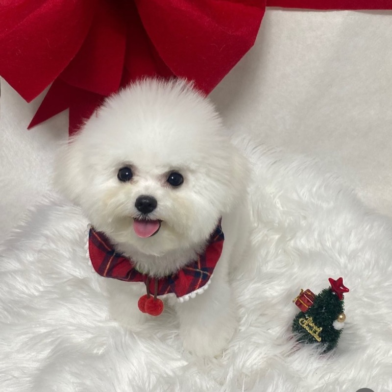 KakaoTalk_20260923_143305396_01.jpg