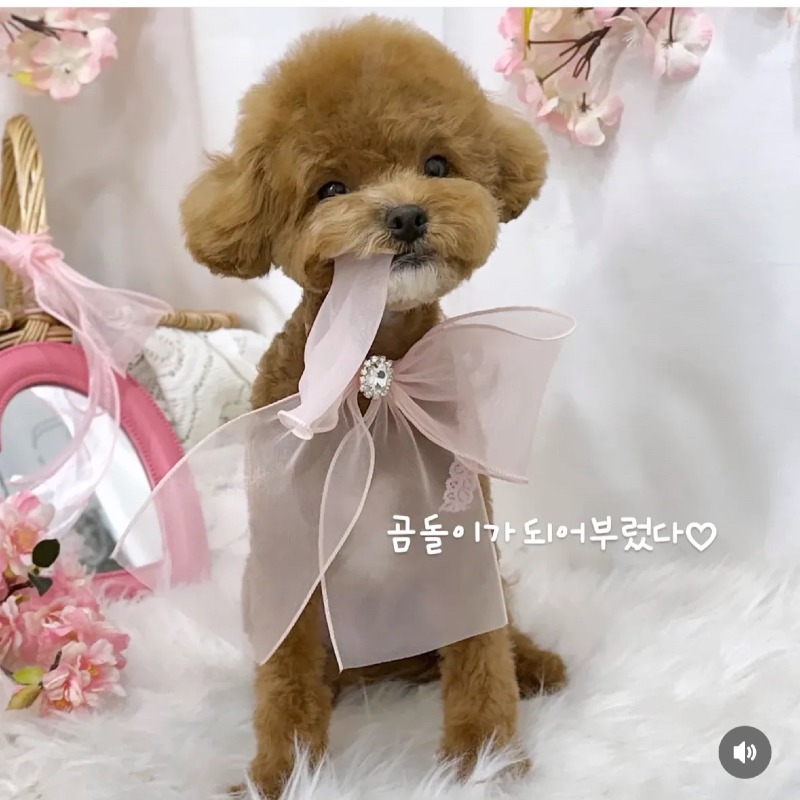KakaoTalk_20260923_144159702.jpg