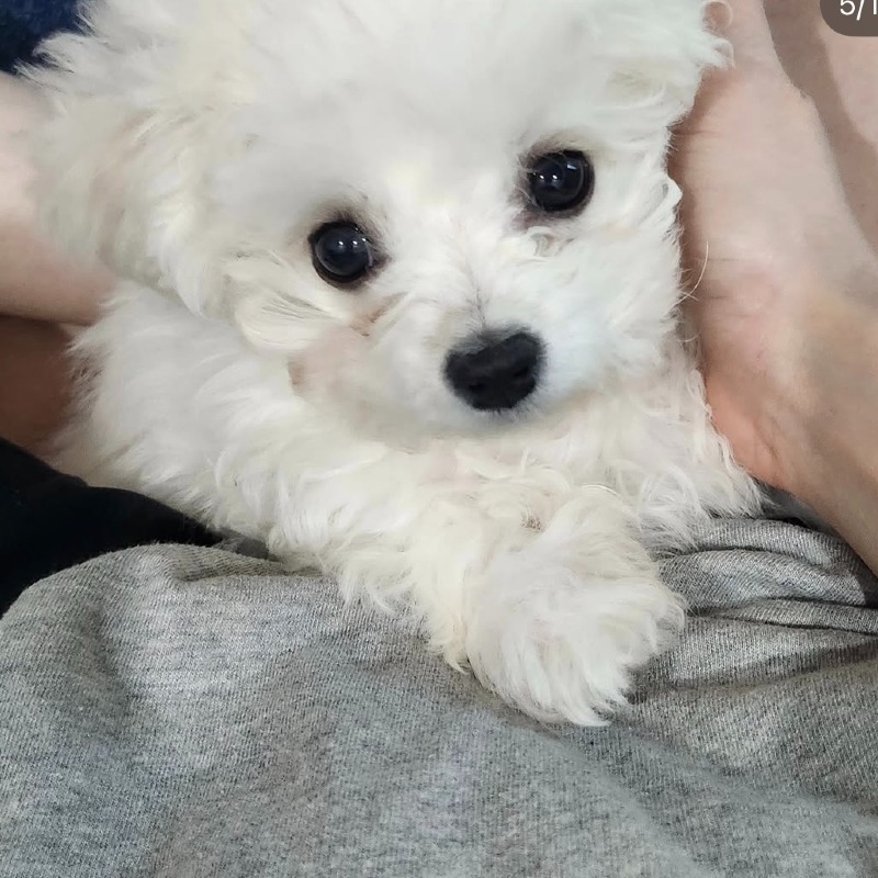 KakaoTalk_20260923_145628880.jpg