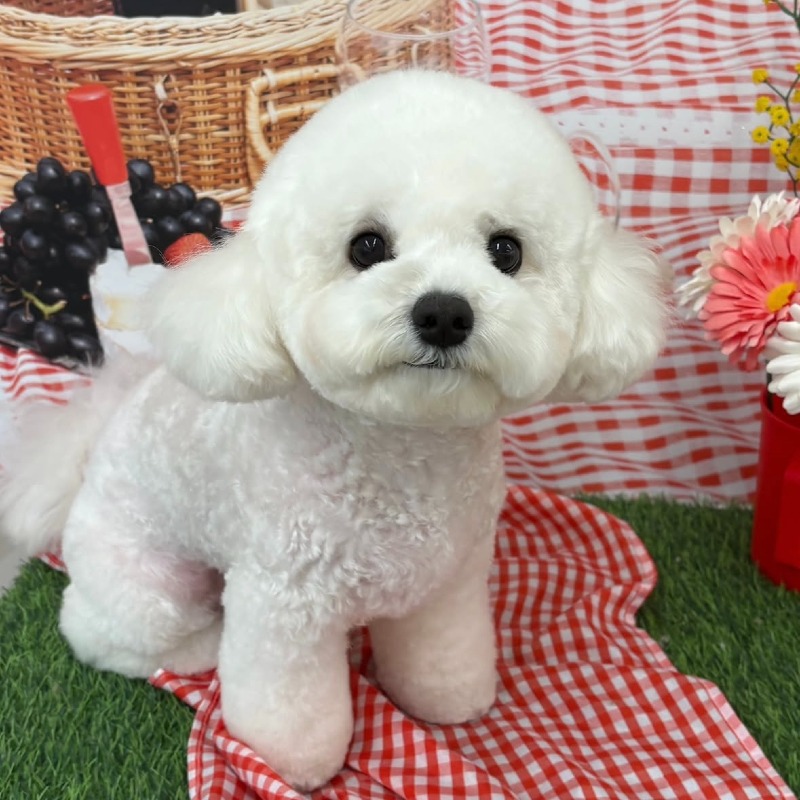 KakaoTalk_20260923_145628880_03.jpg