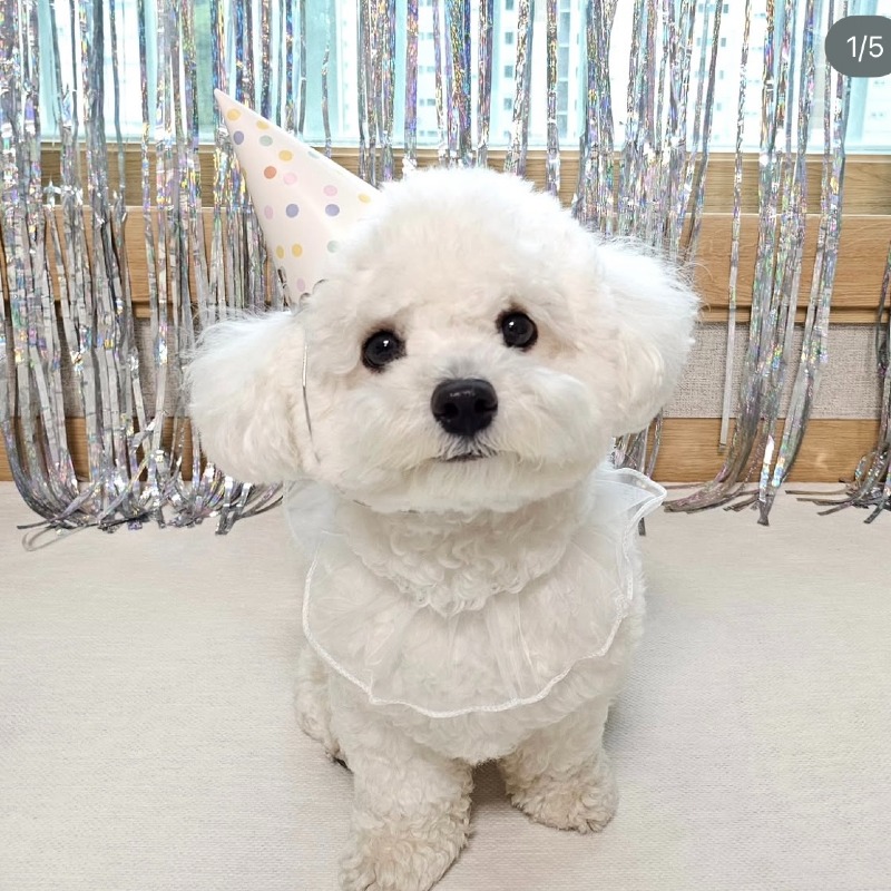 KakaoTalk_20260923_145628880_01.jpg