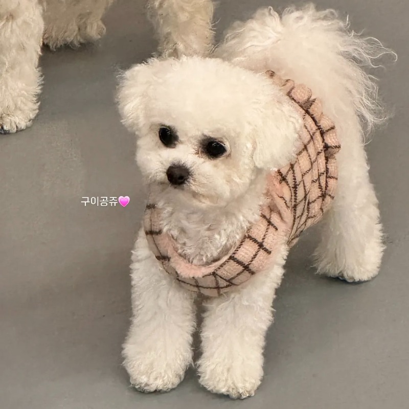 KakaoTalk_20260923_150537553_01.jpg