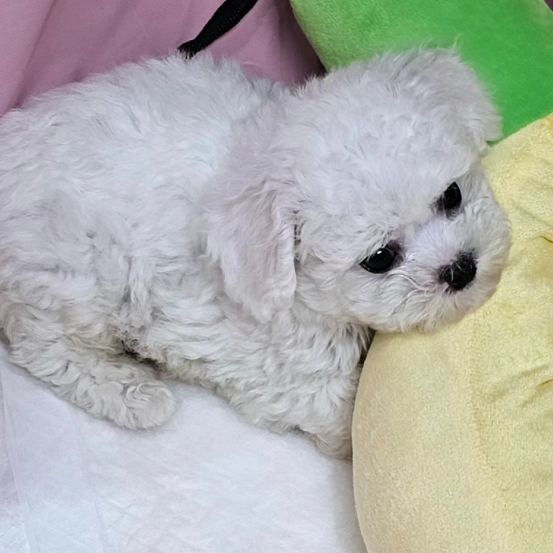 KakaoTalk_20260923_150537553.jpg