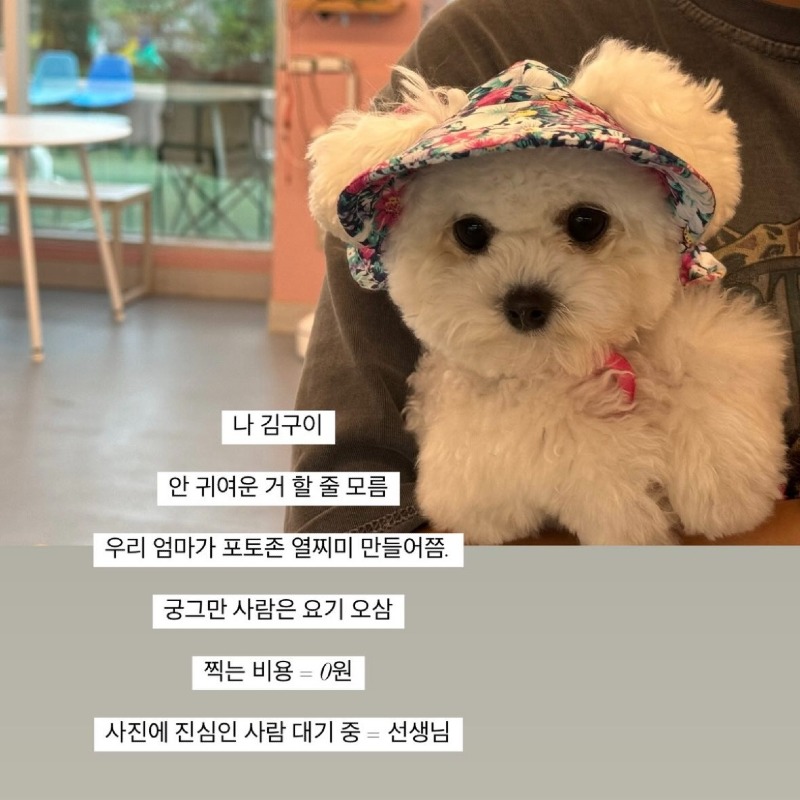 KakaoTalk_20260923_150537553_04.jpg