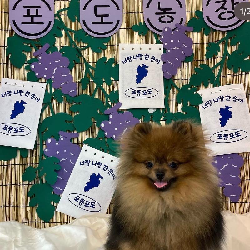 KakaoTalk_20260923_151420841_01.jpg
