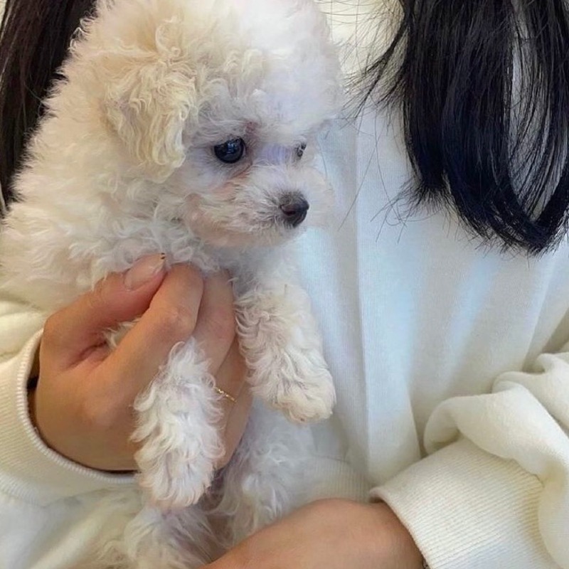 KakaoTalk_20260923_151420841_03.jpg