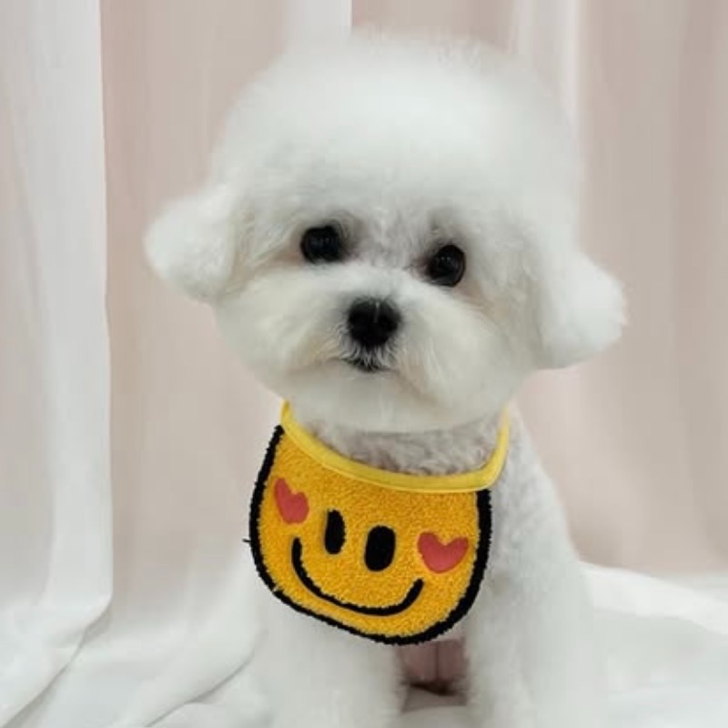 KakaoTalk_20260923_151420841_05.jpg