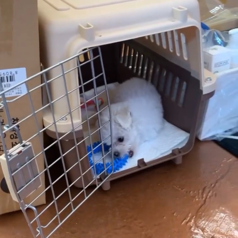KakaoTalk_20260923_151420841_04.jpg