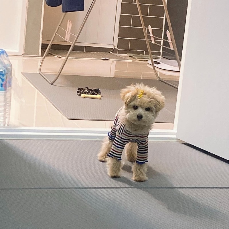 KakaoTalk_20260923_152829175_01.jpg