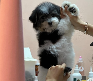 KakaoTalk_20260922_170316129_02.jpg