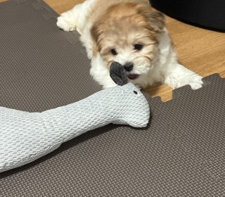 KakaoTalk_20260922_172923151_01.jpg