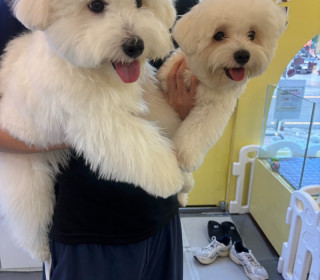 KakaoTalk_20260922_191354449_02.jpg