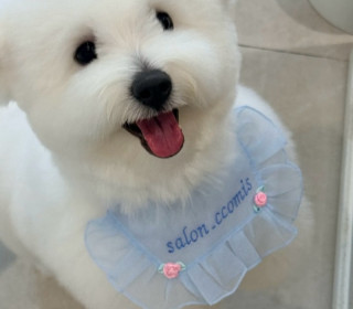 KakaoTalk_20260922_192844330.jpg