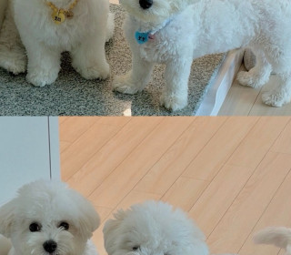 KakaoTalk_20260922_194944576.jpg