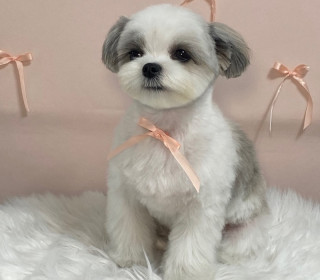 KakaoTalk_20260923_143305396.jpg