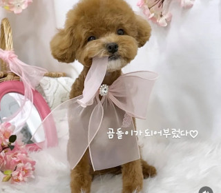 KakaoTalk_20260923_144159702.jpg