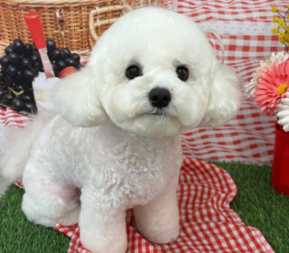 KakaoTalk_20260923_145628880_03.jpg
