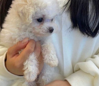 KakaoTalk_20260923_151420841_03.jpg